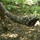 Hammock sleeve MC by DD Hammocks DD-21813 color camouflage